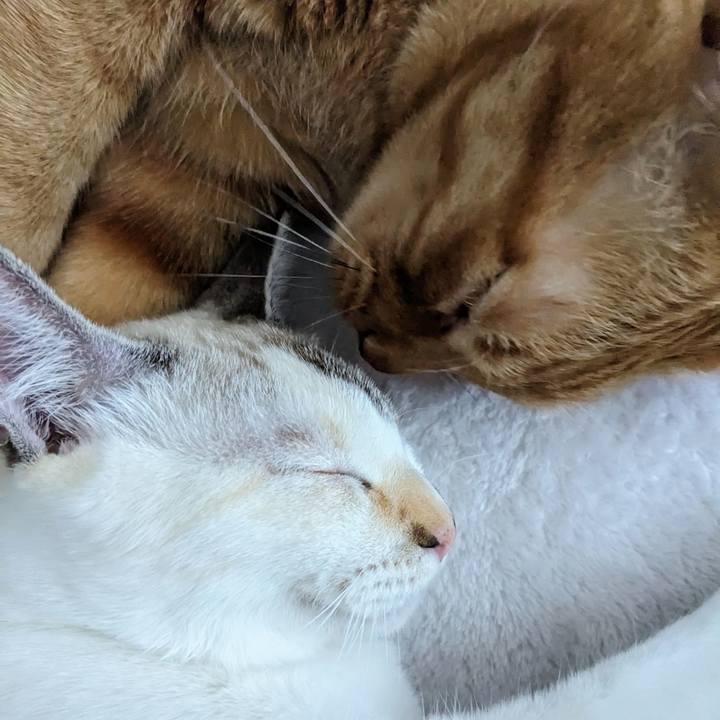 749fa2b4 50a2 4131 9bec 538dee225eae 1702772663067