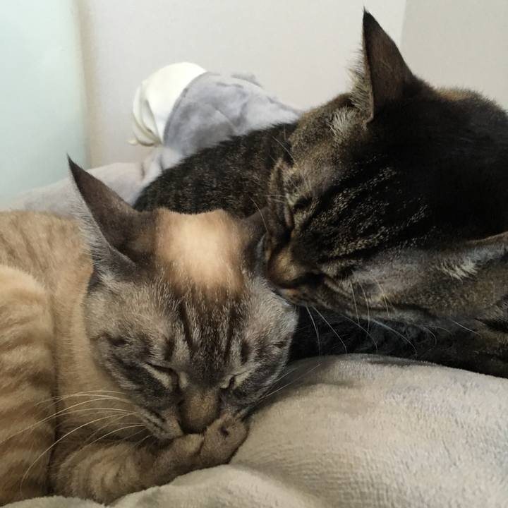 749fe907 8ba1 4626 b4d4 6cf592b47638 1580695848698