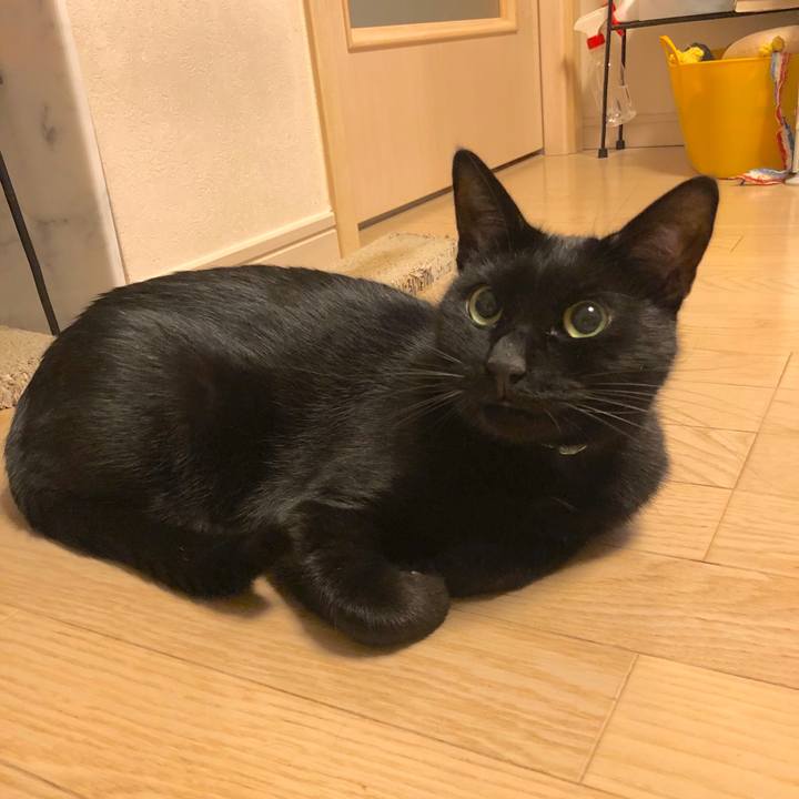 74a041c7 866b 4fc1 aeaa 990486ece1a2 1574776493900