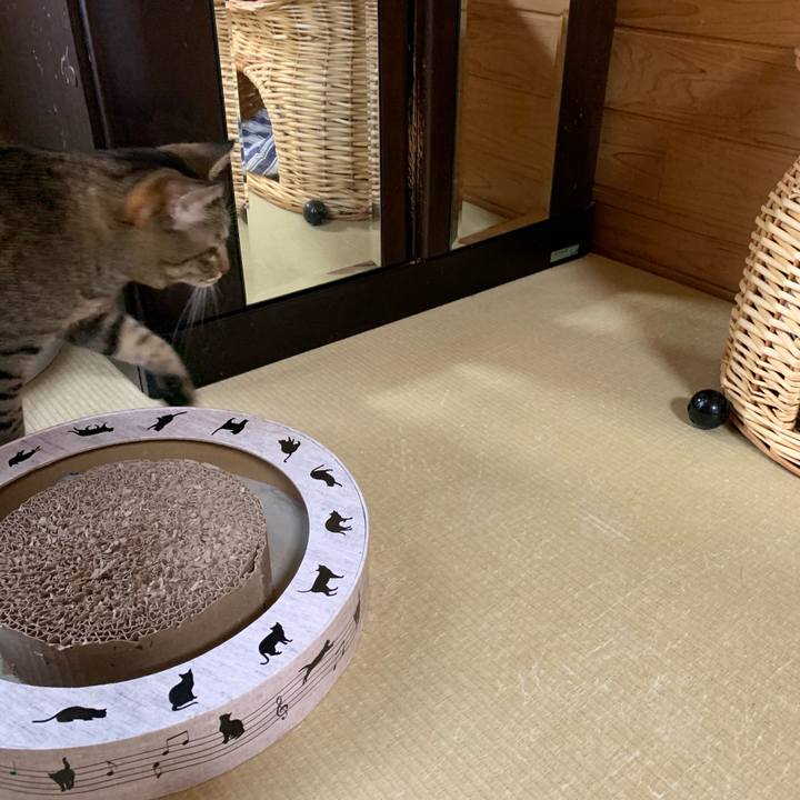 74a04624 a984 4e89 85fc afaa4c8d751a 1570751191732