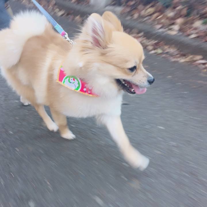 74a071d9 4caf 4f51 b879 923b35d20b5a 1514896064968