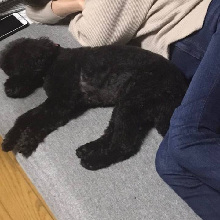 74a08a4e 92eb 4f1d b7c3 51fb081dcab1 1603061241320