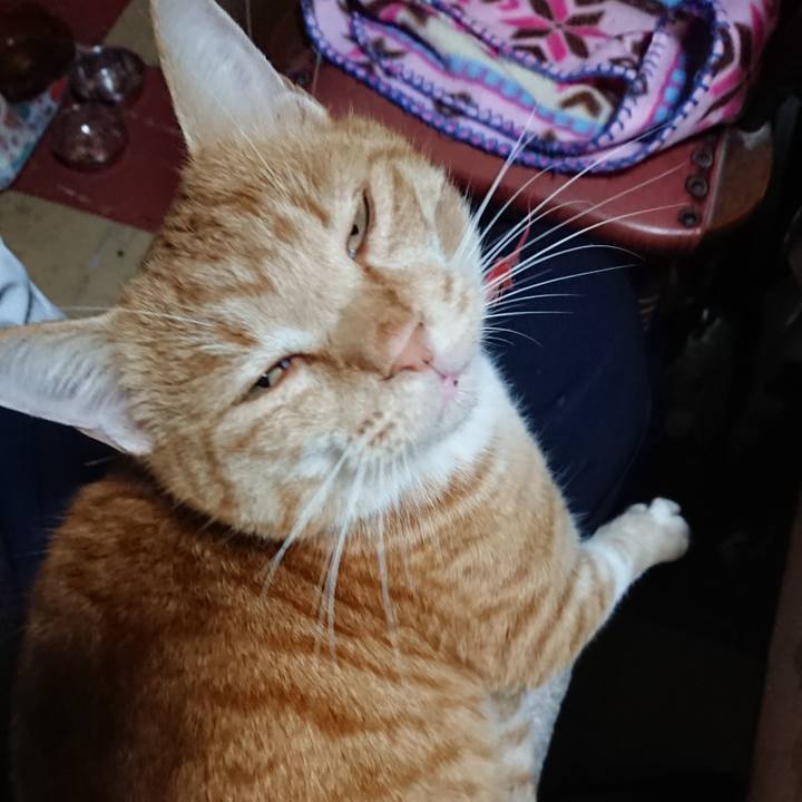 74a0a015 1196 495c 8180 b657435460bf 1575364027570