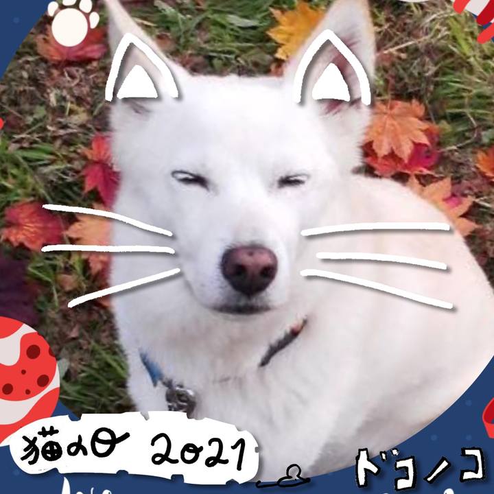 74a0f8d7 4d18 446a 9b29 ede61d4d74db 1613992262059