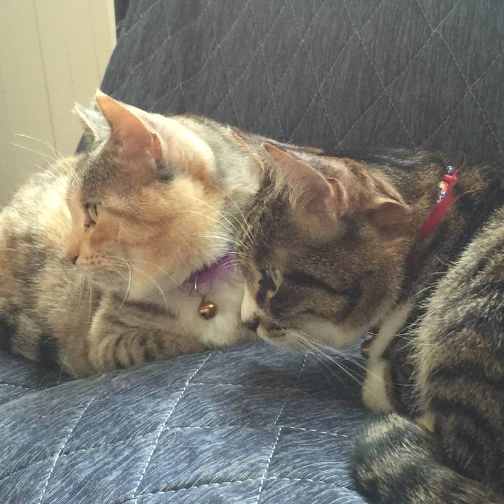 74a10193 62eb 4df3 aac1 838c03225575 1559373465243