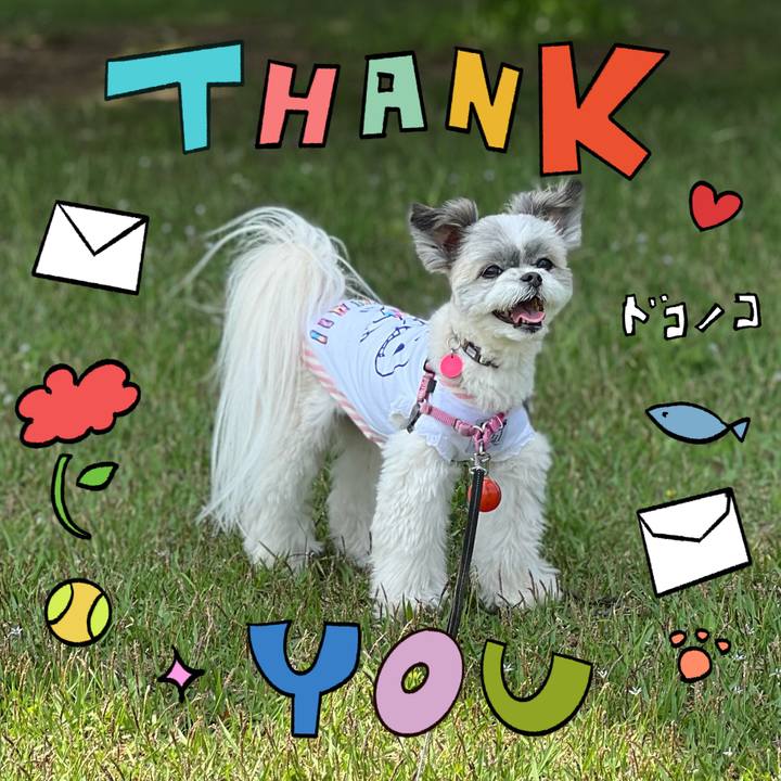 74a14092 9057 45ae be68 0028967dd243 1715152372200