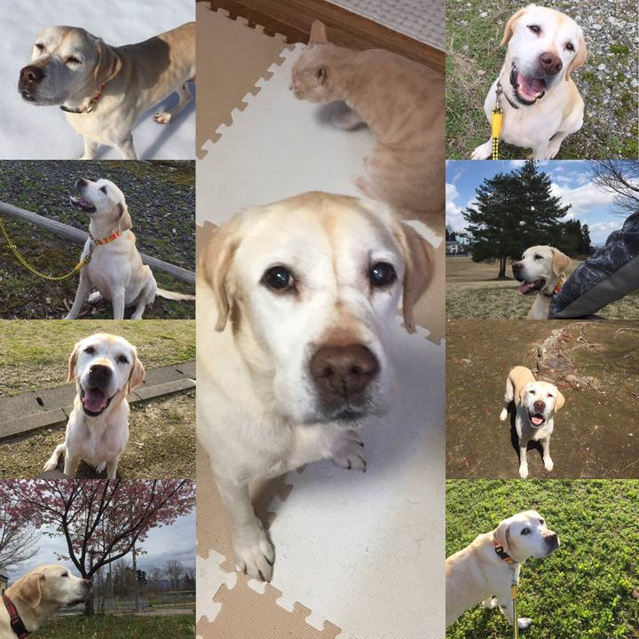 74a197c0 afa2 4abf 8a9d 2e7061eefbda 1556779465640