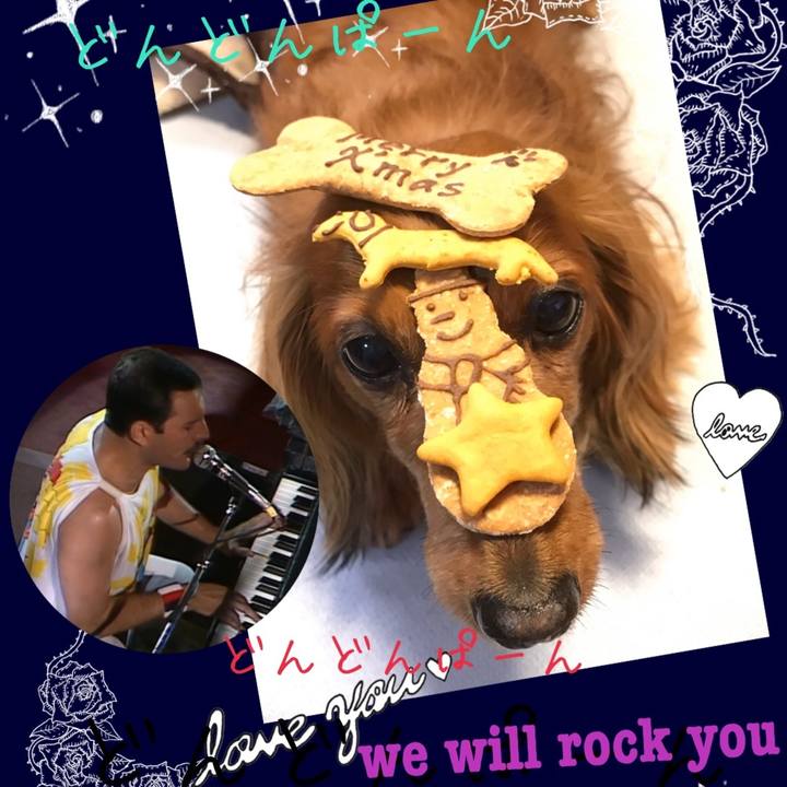 74a1b064 12f9 4497 b28b eb2815611459 1545554544951