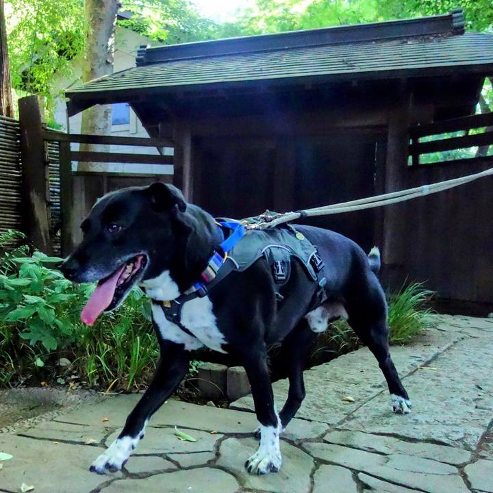 74a1c788 e154 46d8 b487 dcac23bc931b 1656371637090