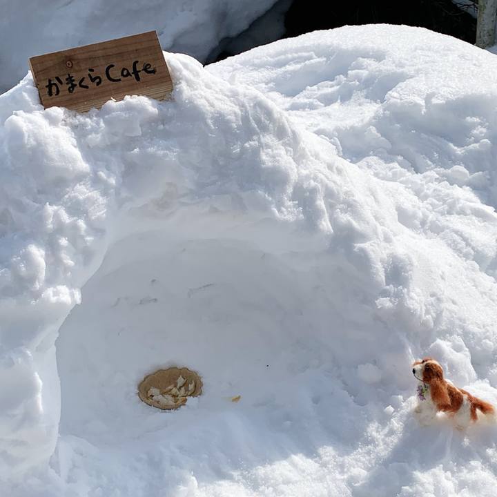 74a20c28 bee1 4323 9f98 06cdc1a88c18 1641605723608