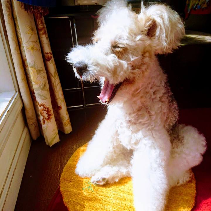 74a20e4b d815 406d 8ed1 f961560f53aa 1594819399987