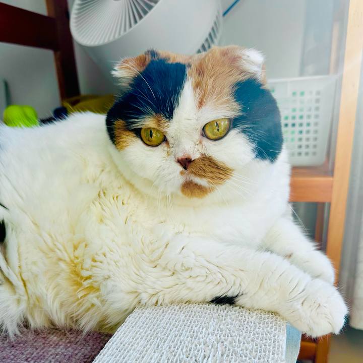 74a22df8 0dd2 4de6 8eb7 21644c157a80 1727562331951