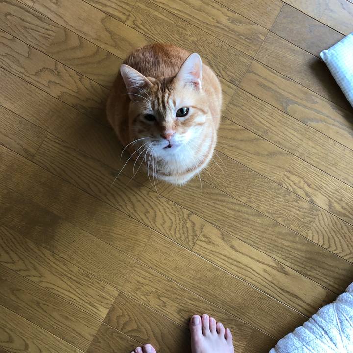 74a2301f 8069 42e2 98c2 808679bd910b 1566771155681