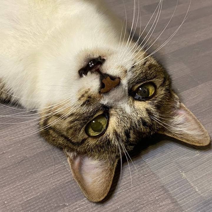 74a24510 6b41 4695 901b 35a30b3e3e50 1623551999574