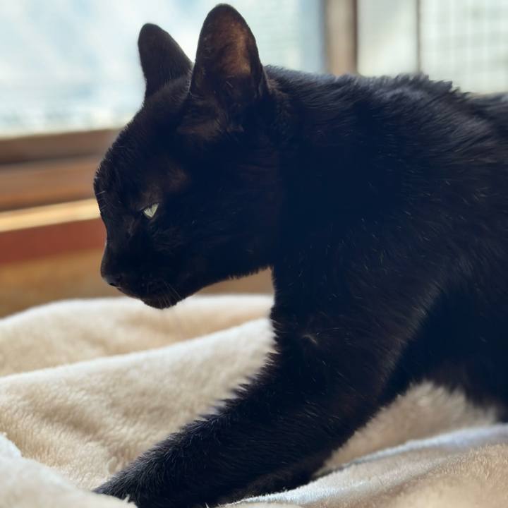 74a2679f 7155 4cc2 a08e dbafa0883f5d 1712367433820