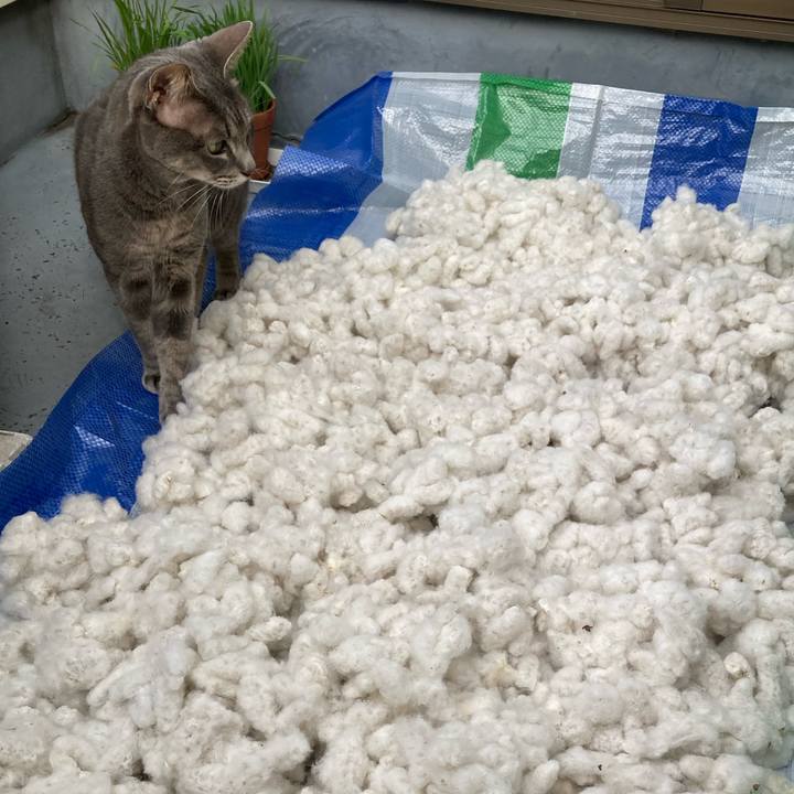 74a26c33 c7a5 4869 a345 622f13745c0c 1698452615507