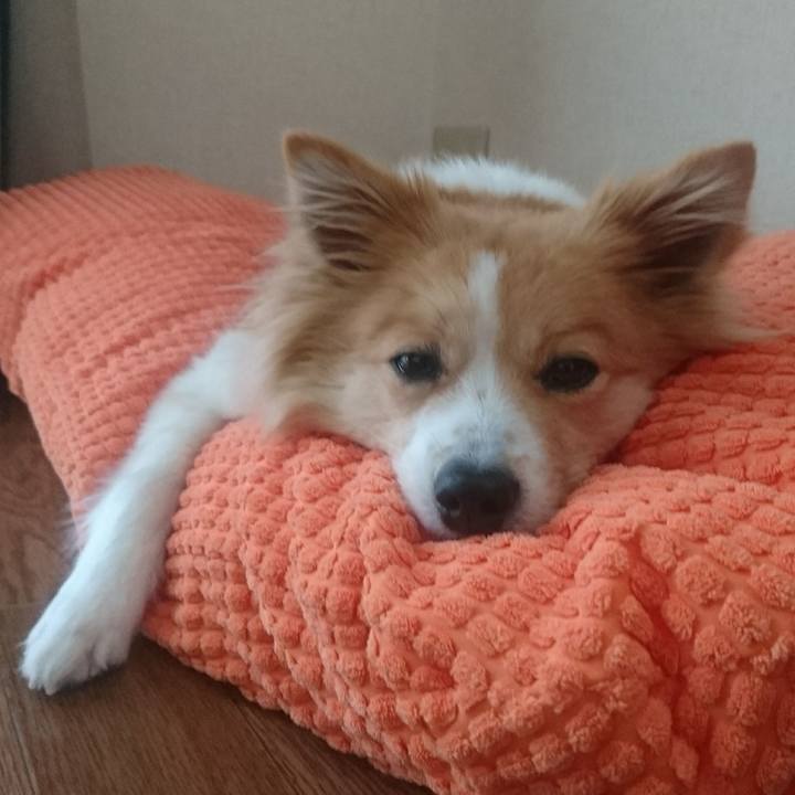 74a2aa04 db42 47e9 83fd e54f675c40b6 1554852836295