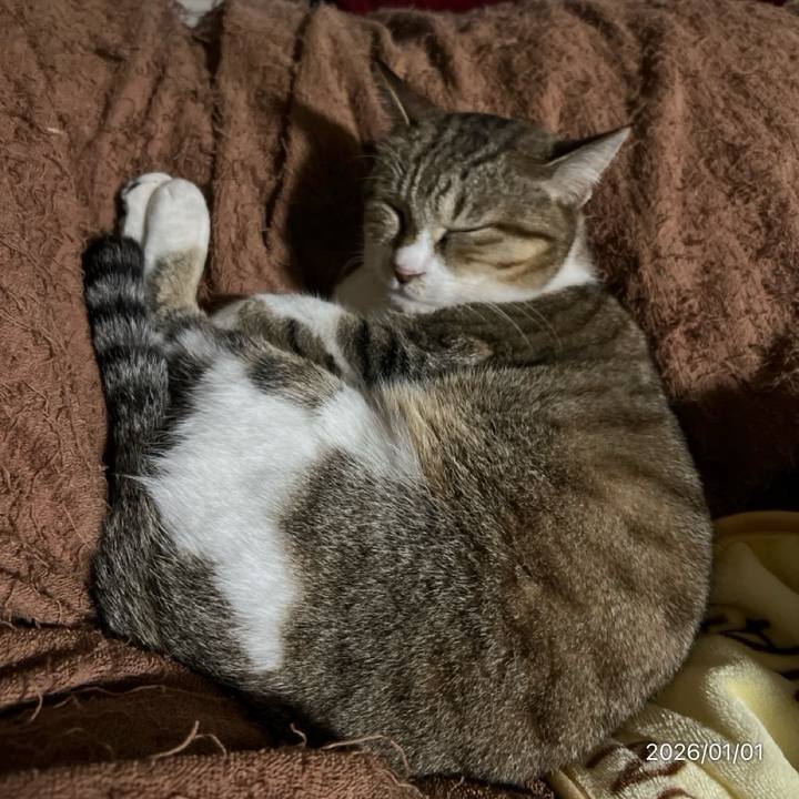 74a324bd fdd2 4061 98a6 945201b6ec76 1767256604618