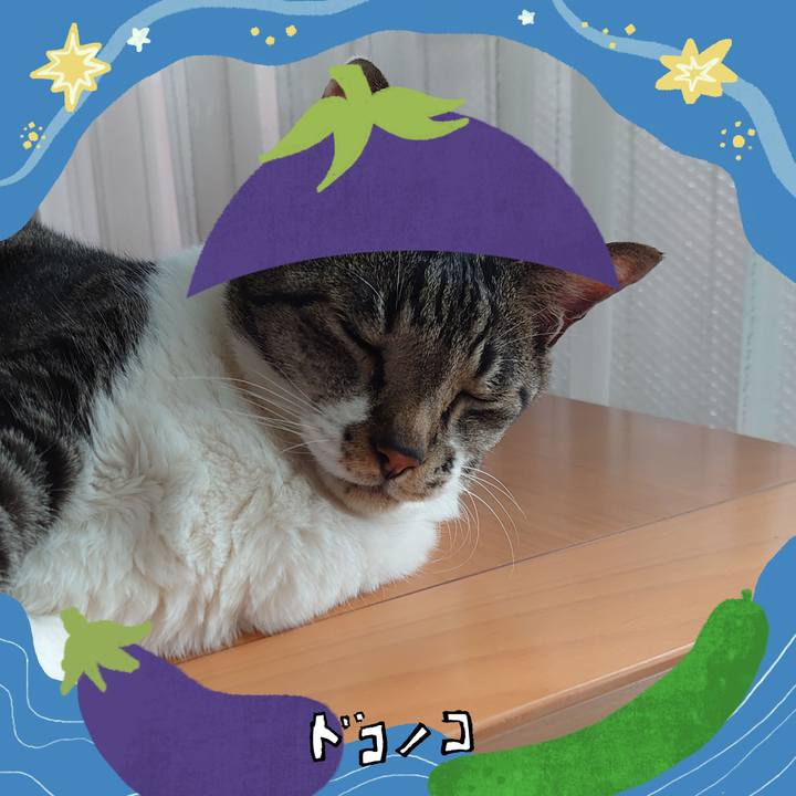 74a32f3e 1e7d 4974 97b5 36e4beca1418 1755306886899