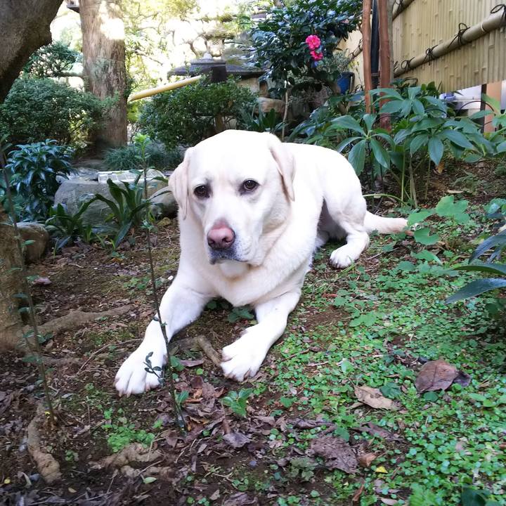 74a33013 d7d8 4d23 9386 ddd19b48b925 1574057373811