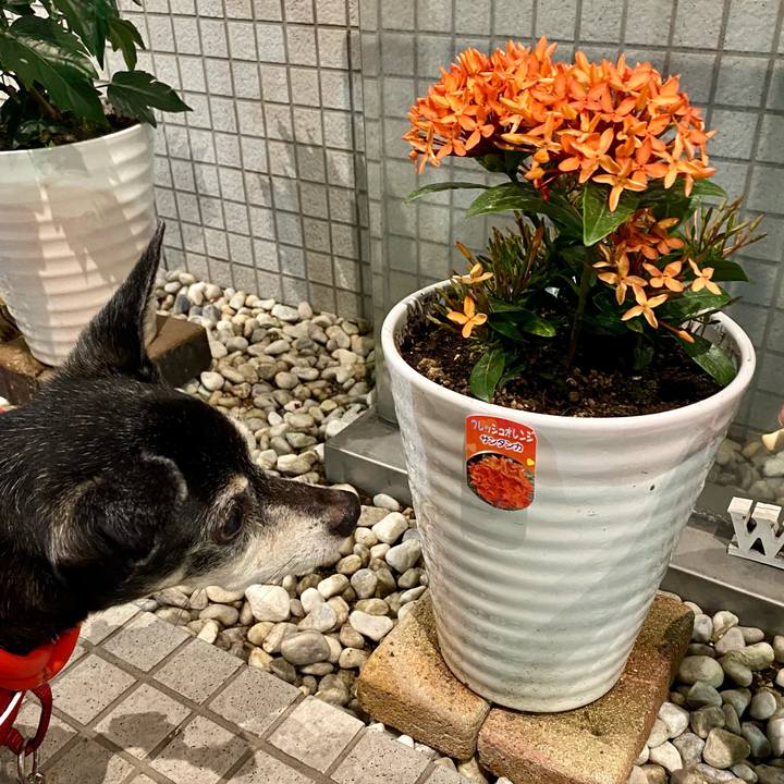 74a33961 356f 4dc6 b979 c244c9df8504 1624976271754