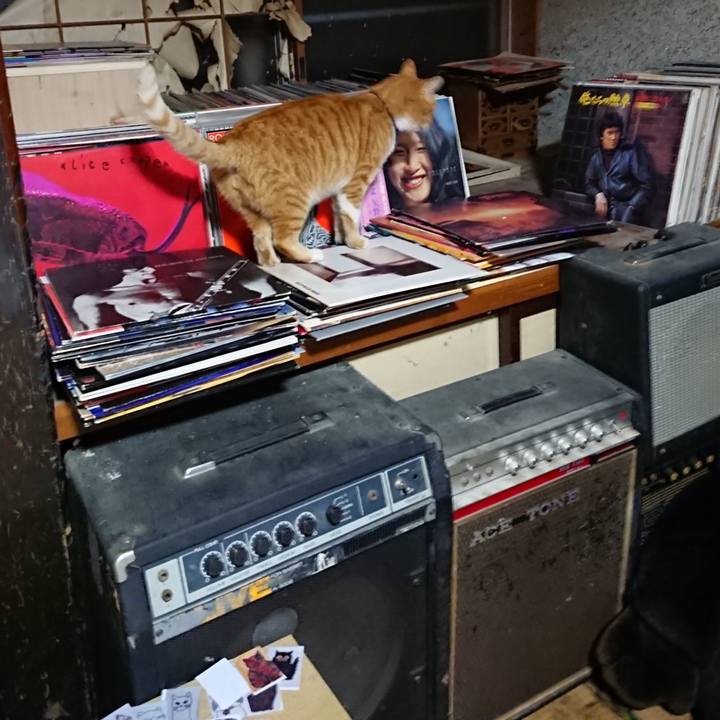 74a376dc 8c3c 4a52 b8d2 92c4d9dff94b 1605698275643