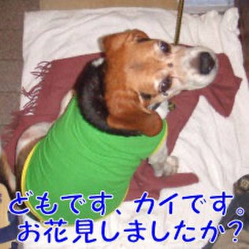 74a3a650 e10c 41cd 97e5 1d7389e1fde4 1712986452449