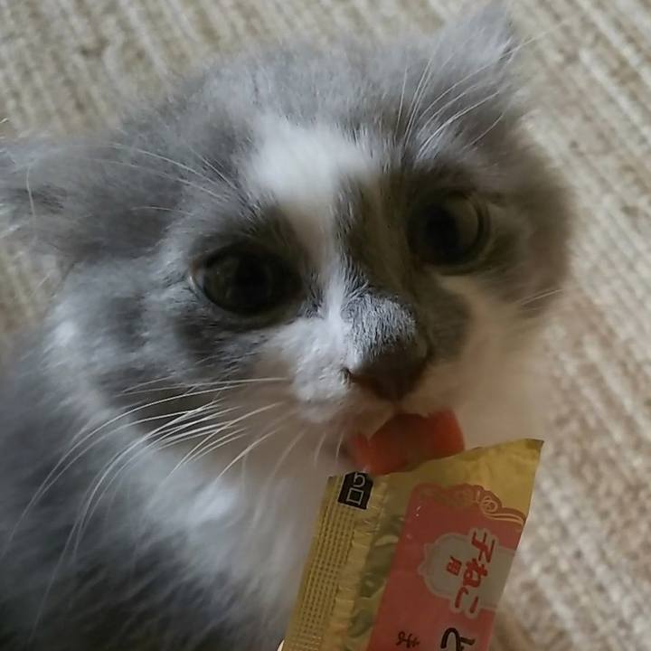 74a3e150 7d35 4c1b aa8d 1df69178d897 1561951529200