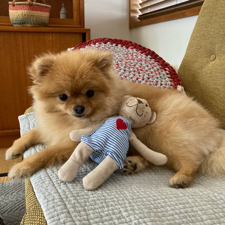 74a40015 dce3 4df7 bec6 d09ba5983849 1712538188041