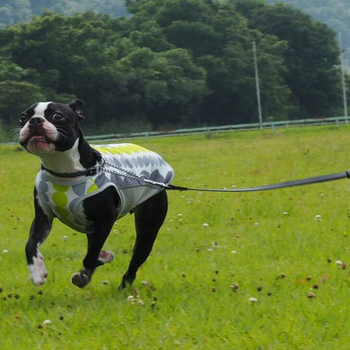 74a4121d 86d0 4a7e 8daa c30c6133938b 1531631918020