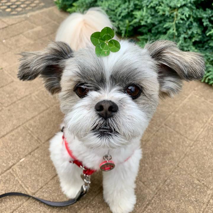 74a43755 5aea 49c6 8f05 60761ba42ff6 1621932874714