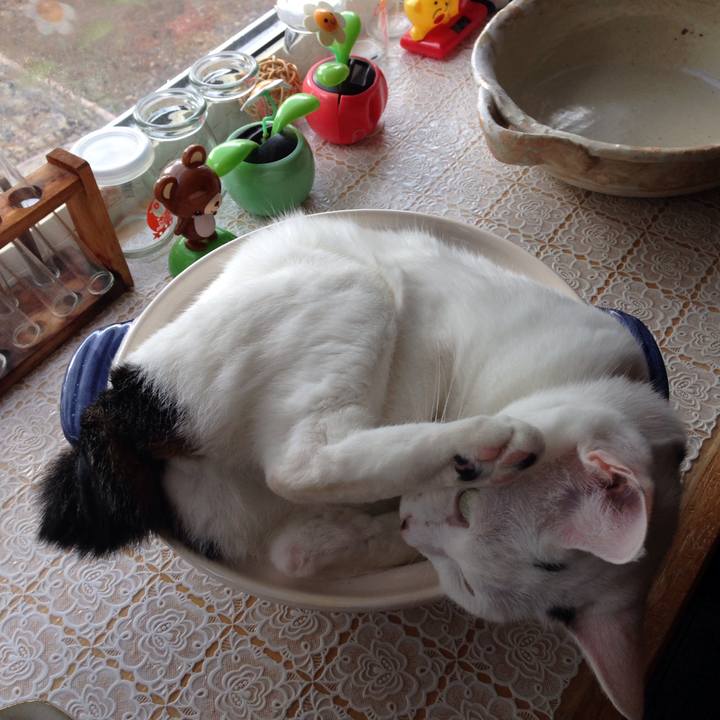 74a452a7 09a8 4ccd bbb5 d136ef8e2786 1508113913195