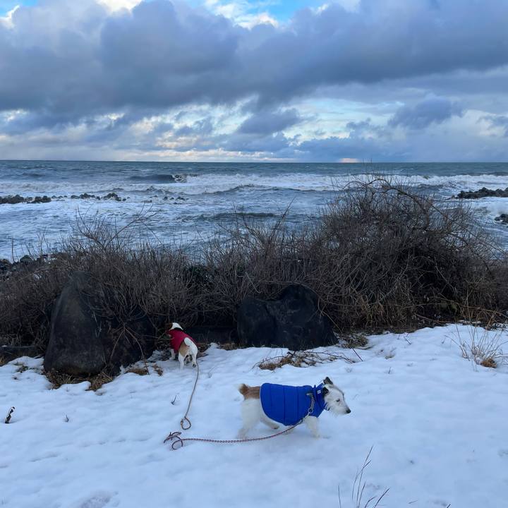 74a45d7d 8c69 4056 ae29 2713a0d71b28 1642558311115