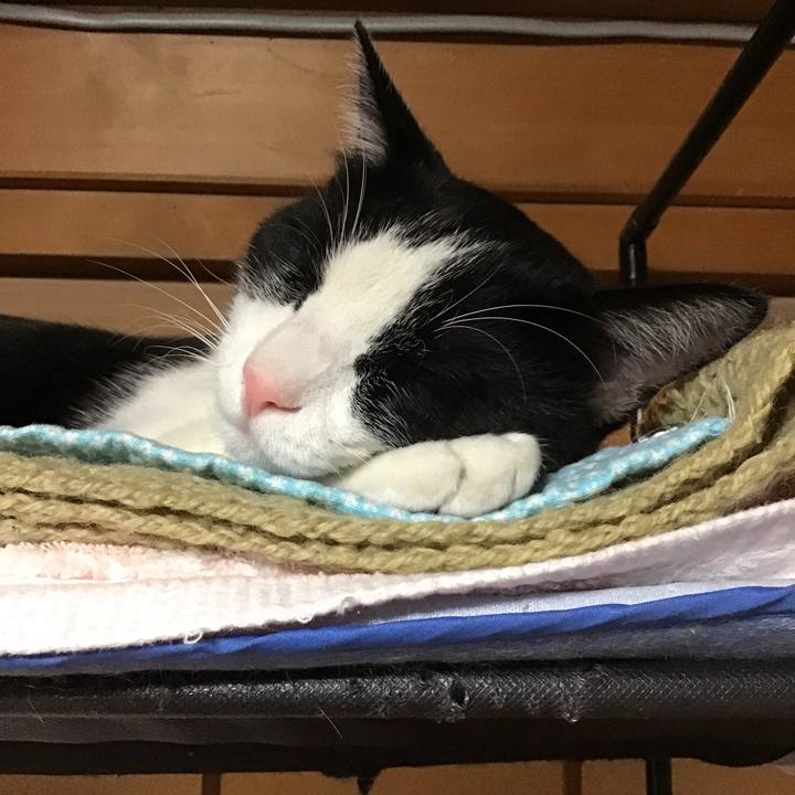 74a4666f 2afa 4161 a9f8 d4e7a233a6cd 1656846601284