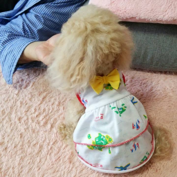 74a486c8 f1e7 4855 9b3a 07956de187f1 1552217030865