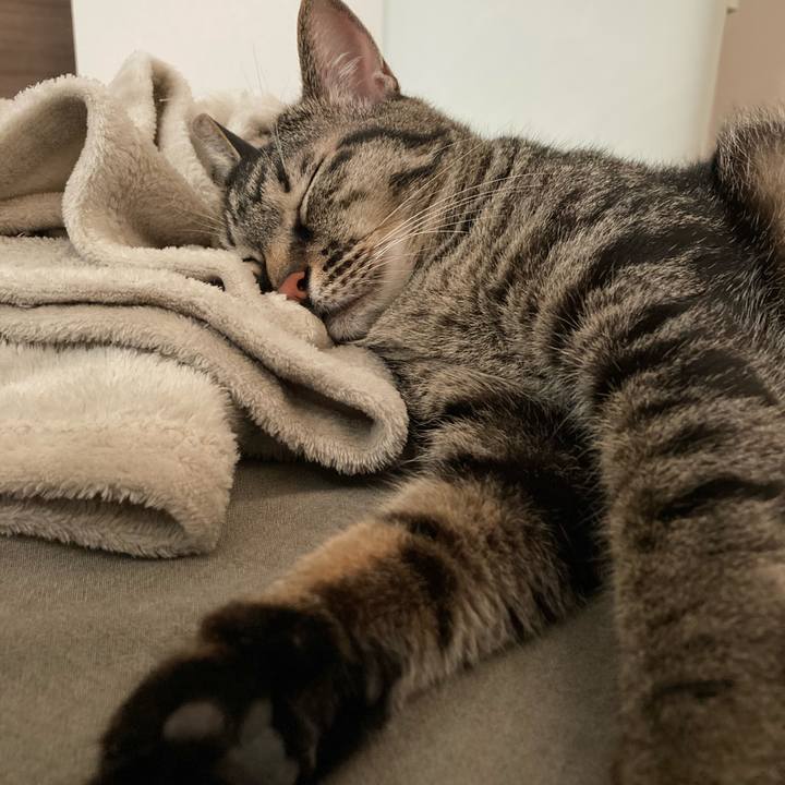 74a4e78b b851 4e4a bf28 e7973d7a1afd 1594514869361