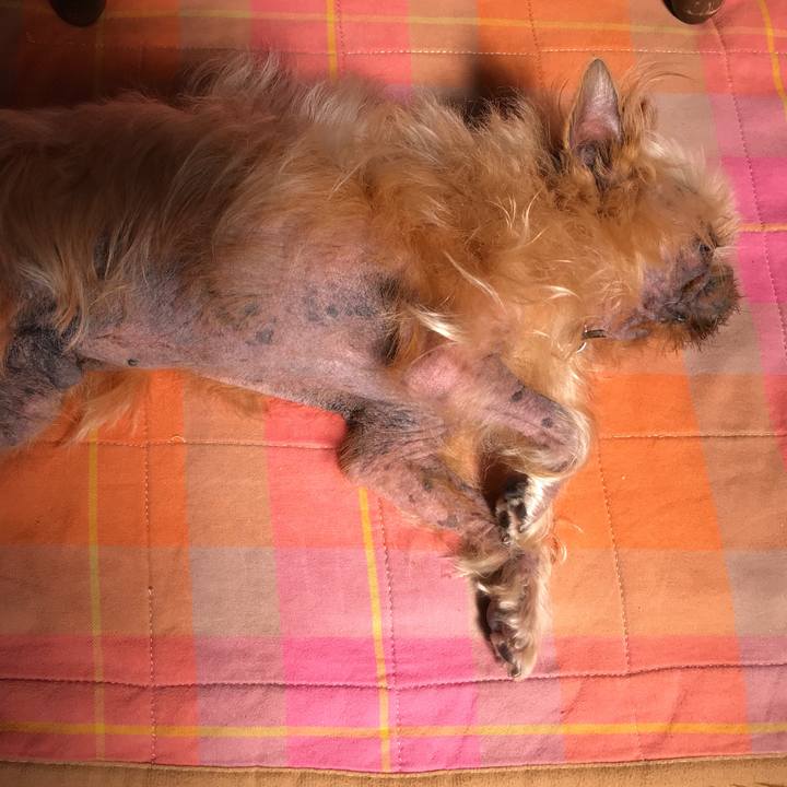 74a4edf4 d352 45a5 a481 5db0045f7721 1520305569659