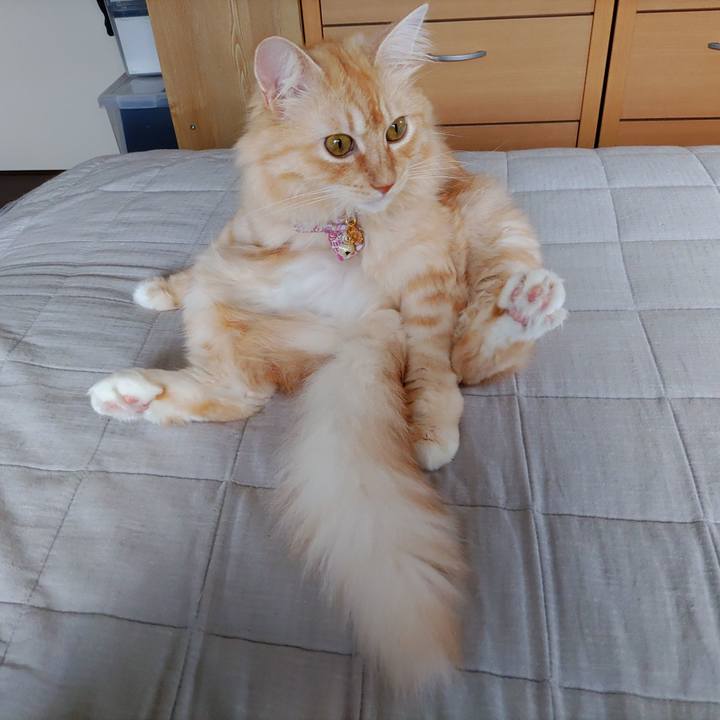 74a51237 0ad0 479b b5d8 3d17352b15d1 1662340314366