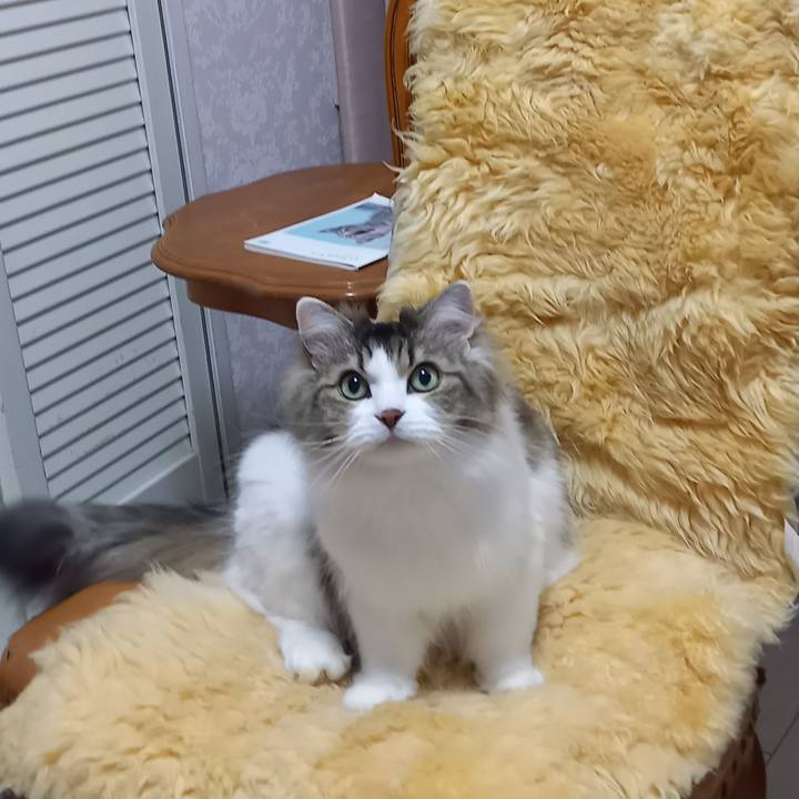 74a53fbd d7f6 4312 8604 733164b26b72 1675518714517