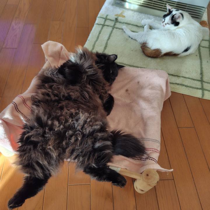 74a54d0b 665a 4d29 90fd 80a9fe9c7857 1732406261677