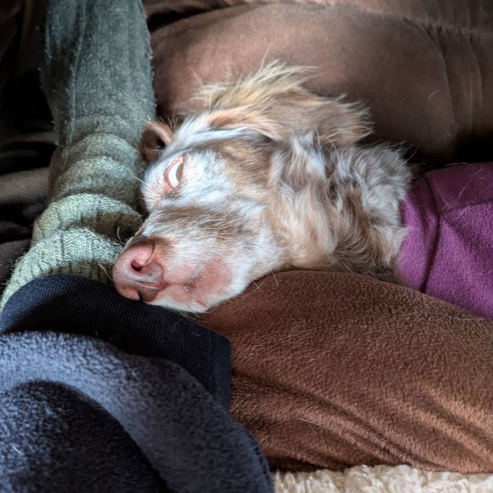 74a558fa 3ecc 4a50 bb53 d7a985de450d 1770870028787