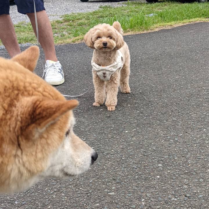 74a56712 b78a 45c0 bae6 6a85a812fb0b 1755203197636