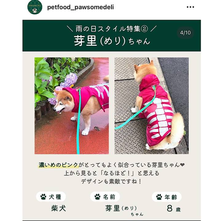 74a579ce 822e 4c1e 91e6 c662999c43c9 1689805079623