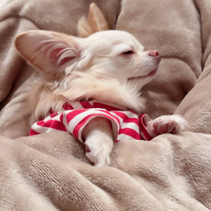 74a58baa 6b0b 4854 a770 fb50890ff889 1718192772781