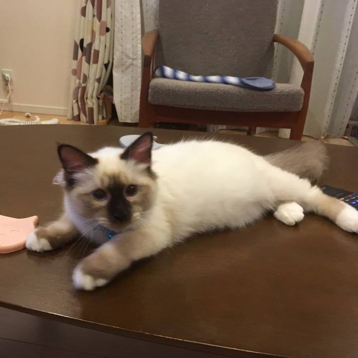 74a5d8d0 13da 4125 b639 4116e225fb08 1508674190713