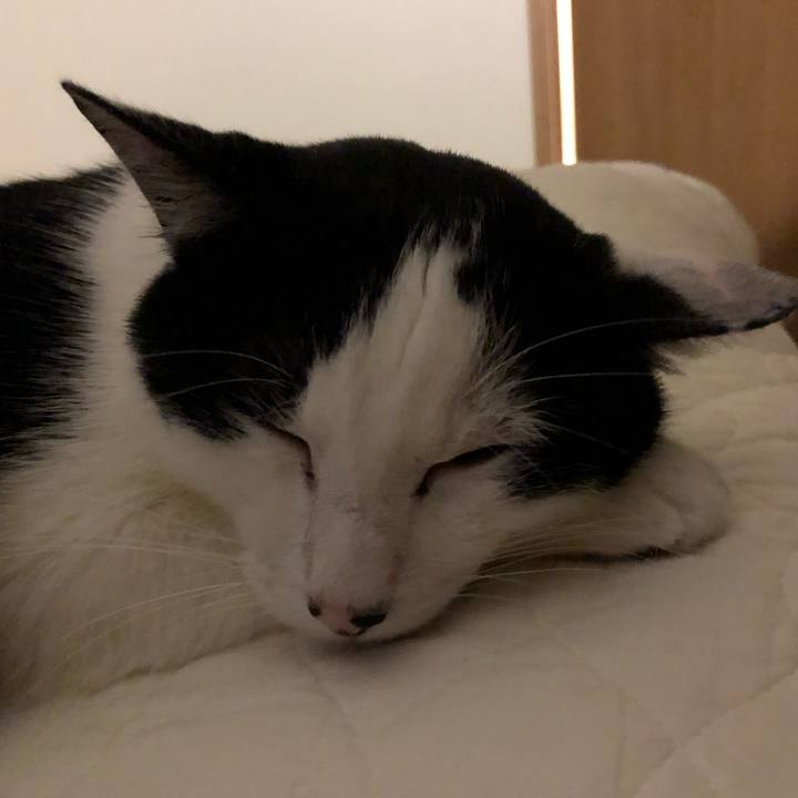 74a5d9f8 68ed 45de 8a2a 8bc17004bb26 1560094814683