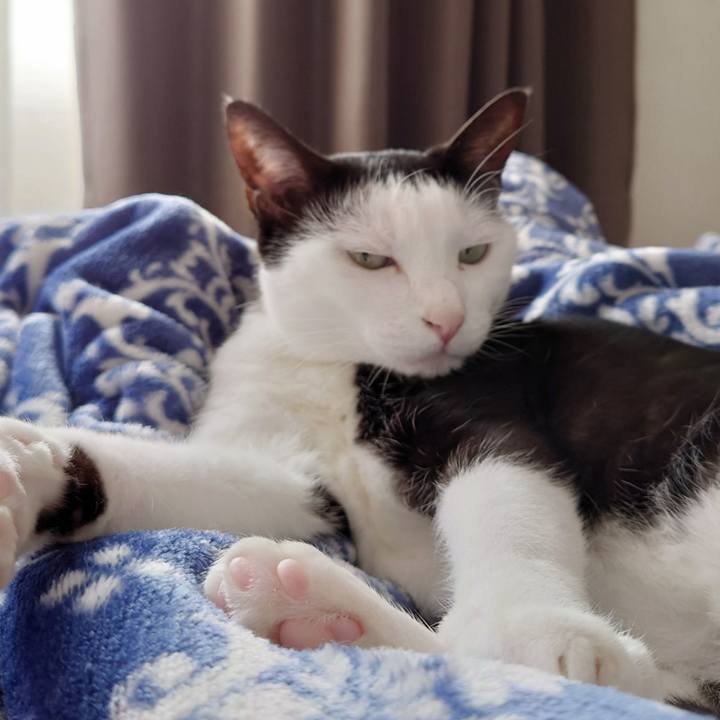 74a5e649 a2cf 492d bef2 4ebdb54fd1d7 1635812309358