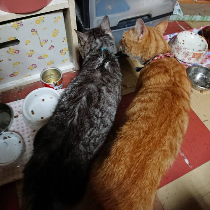 74a5ea71 5322 4111 a7e4 7f37a6c2a99a 1562184290341