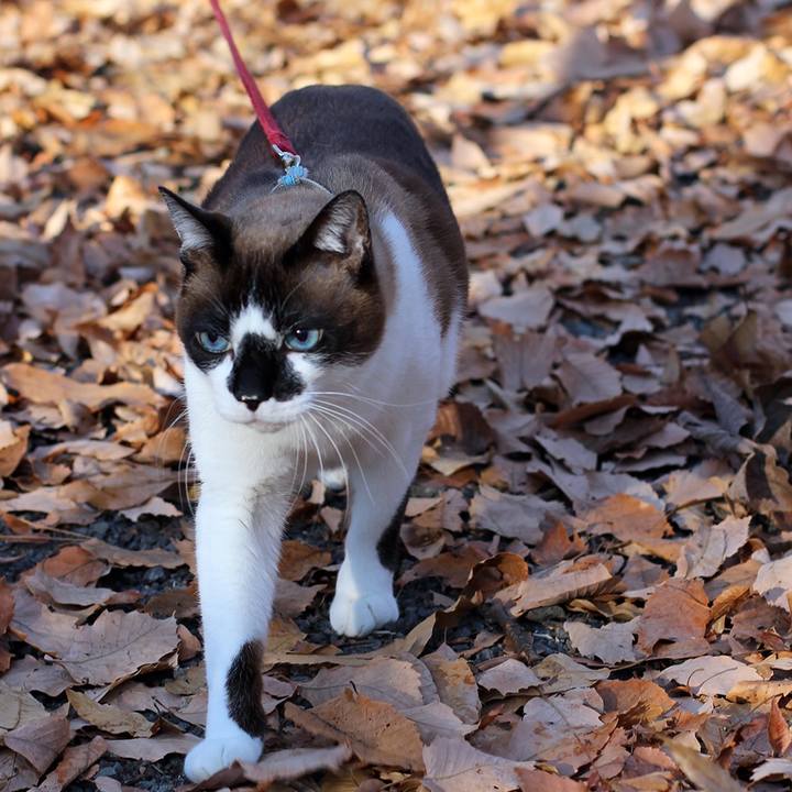 74a60054 0088 4cae 945b f7a3eb98f3ab 1544917674873