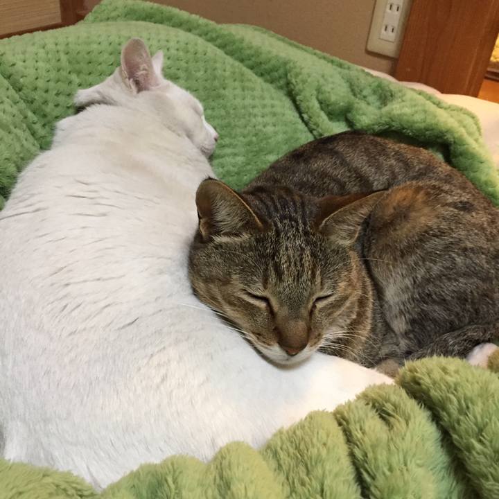 74a69169 3d60 4abd 8094 495b626ec769 1547849581131